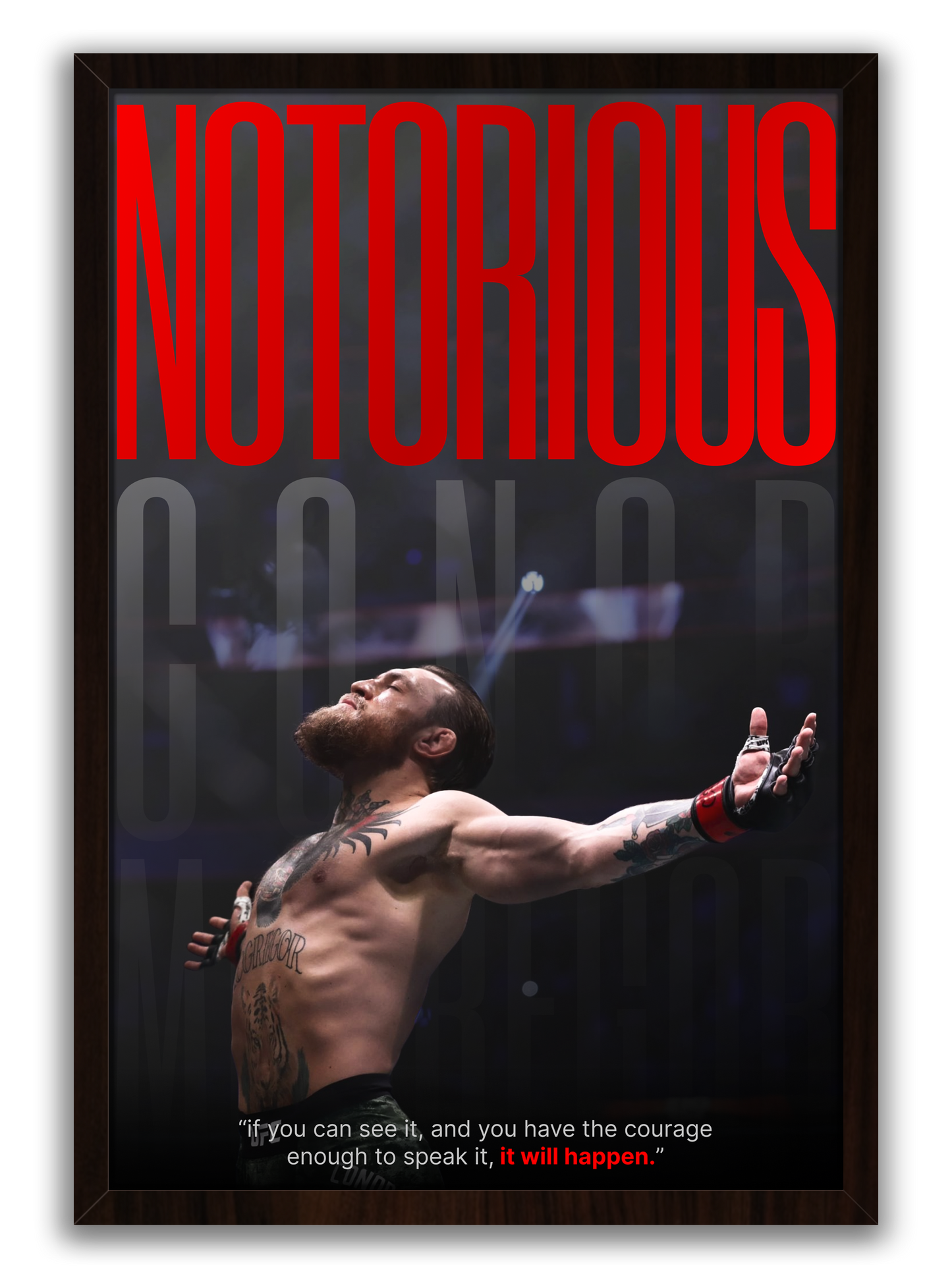Notorious Conor Mcgregor