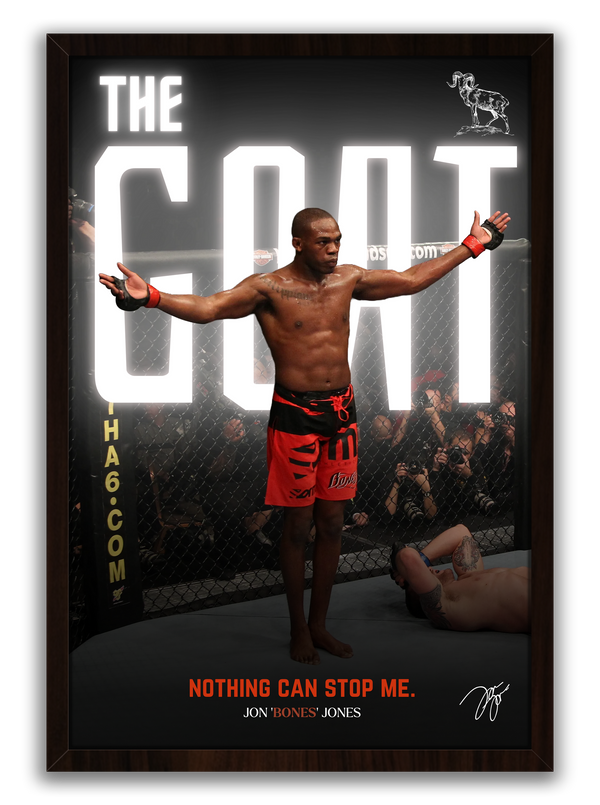 Jon Jones Greatness Displayed